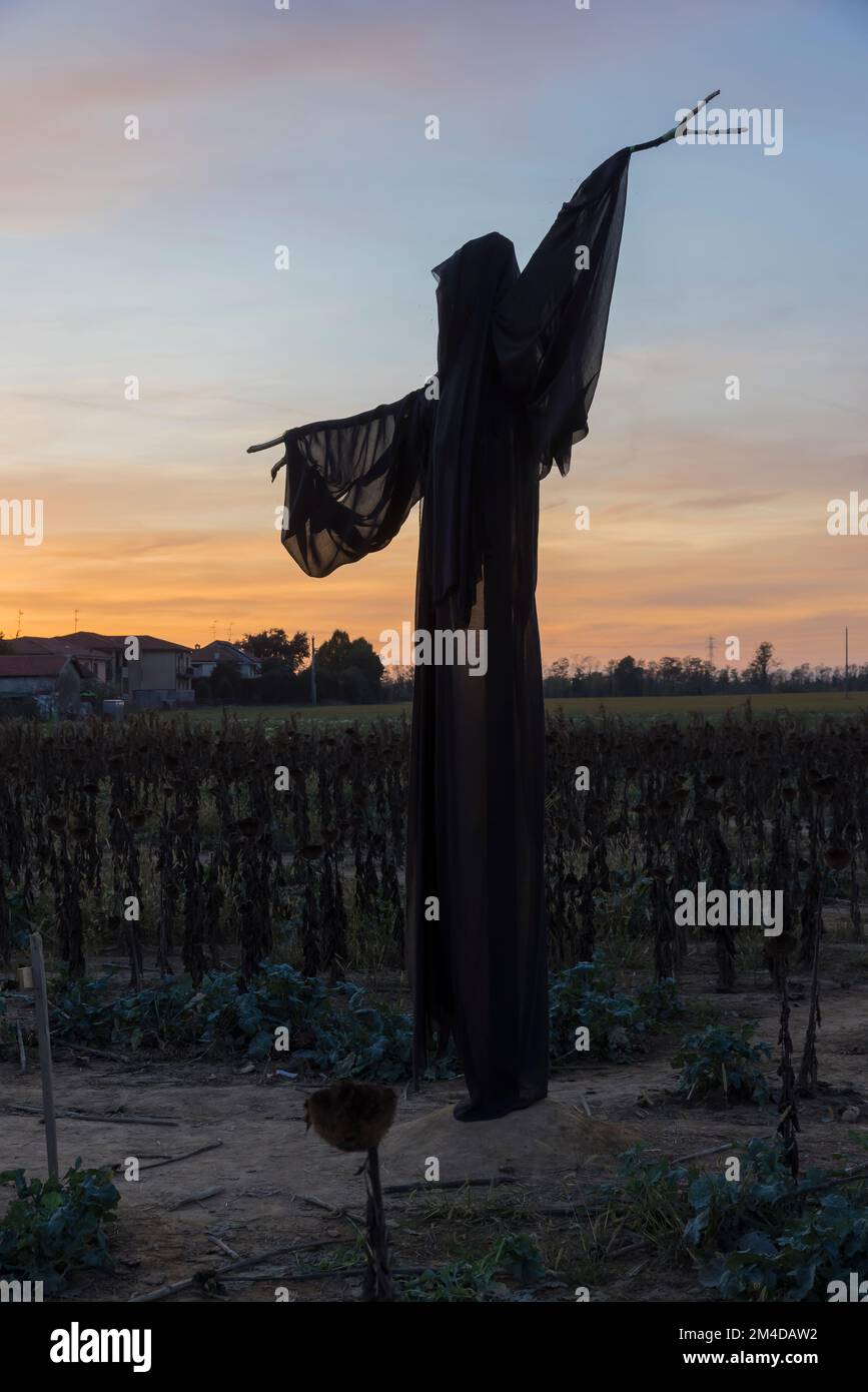 Ghost on a field during sunset, no people are visible Stock Photo - Alamy