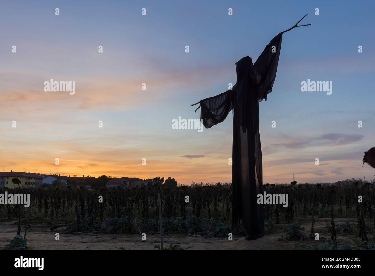 Ghost on a field during sunset, no people are visible Stock Photo - Alamy