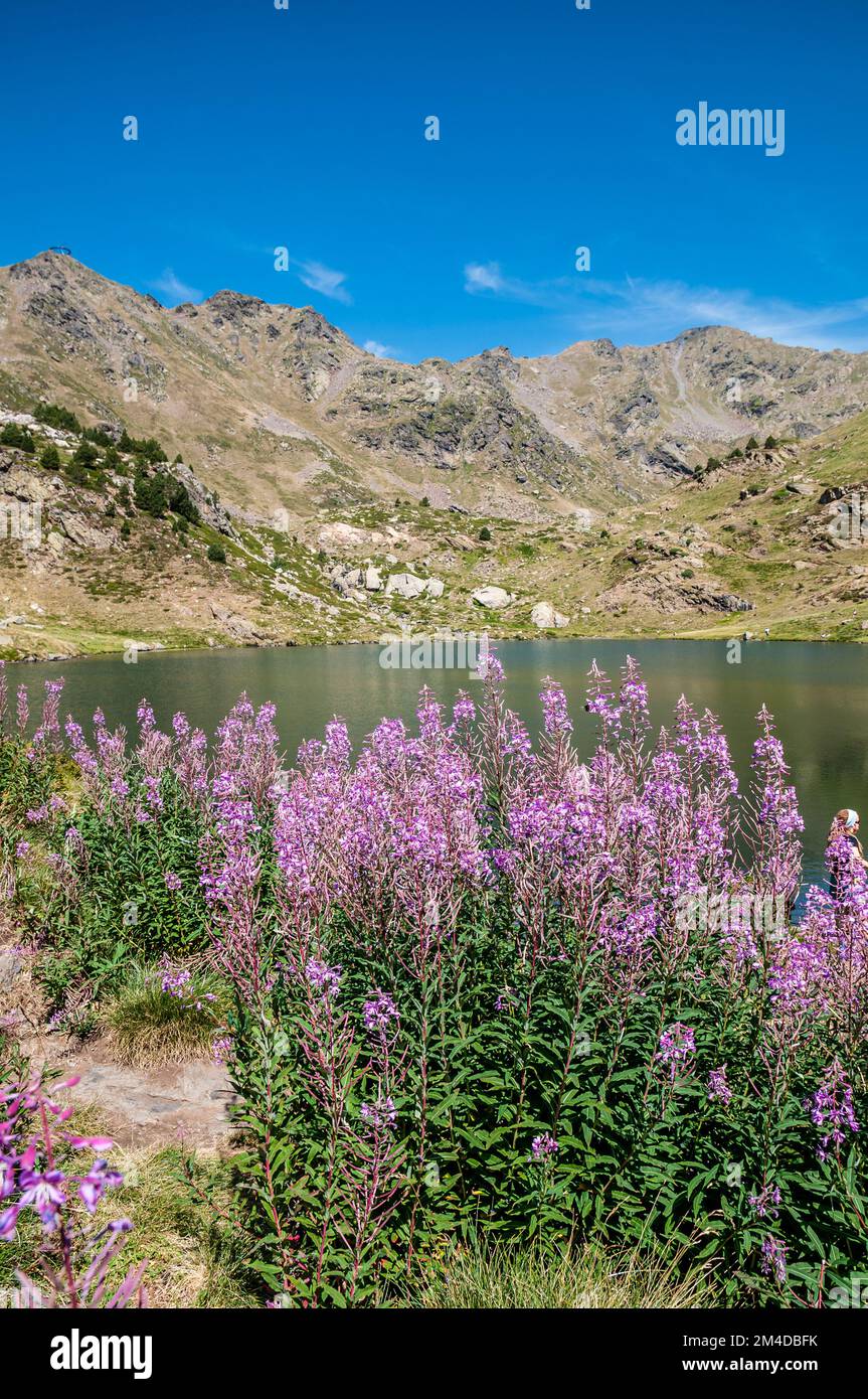 Panoramic view, Estany primer, Ordino Arcalis, Andorra Stock Photo