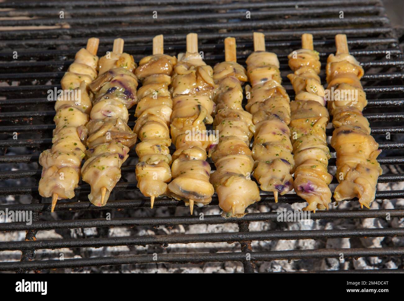 Grilled rapana closeup on wooden skewers outdoor Stock Photo