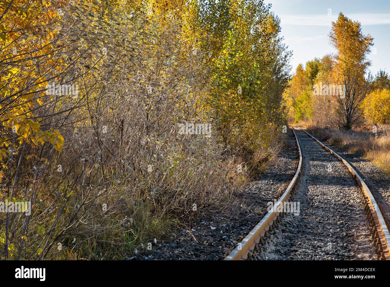Landscape with railway track going into the autumn forest Stock Photo