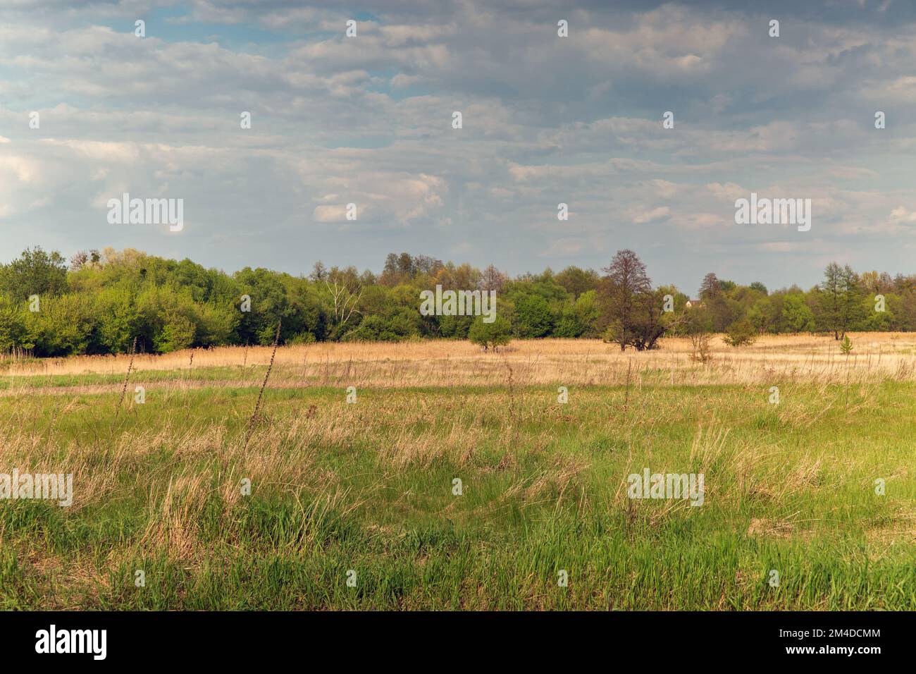 Ros River valley summer rural landscape, Central Ukraine. Stock Photo