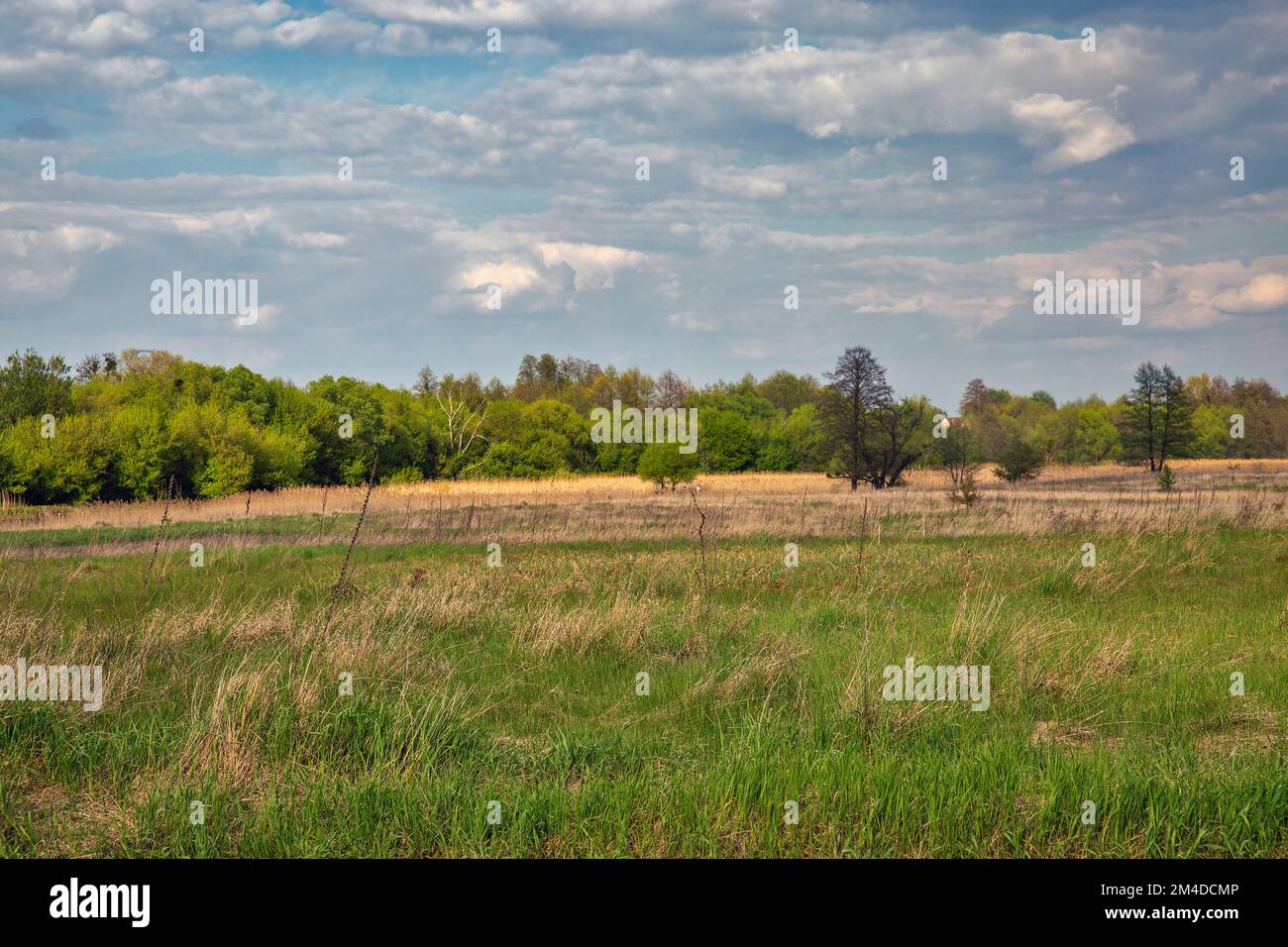 Ros River valley summer rural landscape, Central Ukraine. Stock Photo