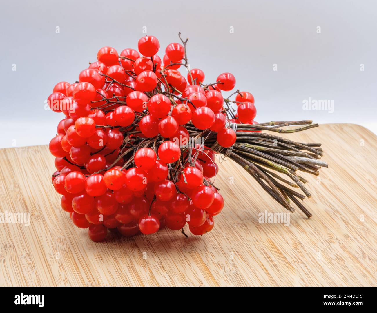 Viburnum red berries closeup on wooden background Stock Photo