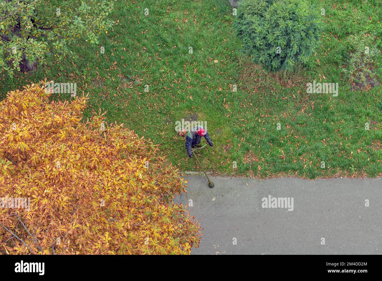 worker mows the grass with a gasoline brushcutter in the city, top view Stock Photo