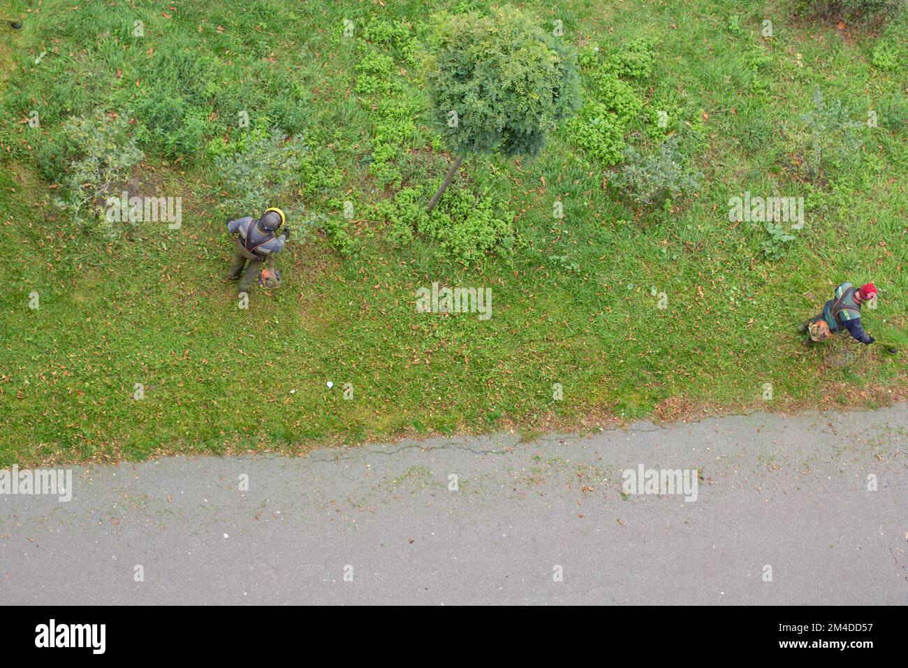 workers mow the grass with a gasoline brushcutter in the city, top view Stock Photo