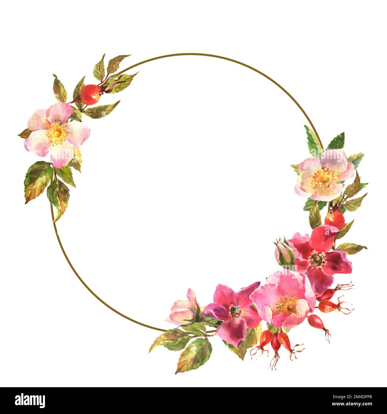 Watercolor rose hip wreath. Flowers, leaves and fruits of wild roses