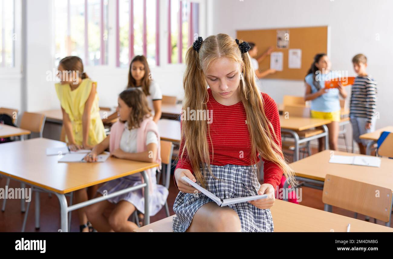 Portrait of clever schoolgirl with copybook in classroom Stock Photo ...