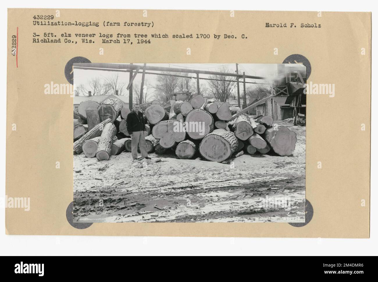 Wood Utilization. Photographs Relating to National Forests, Resource