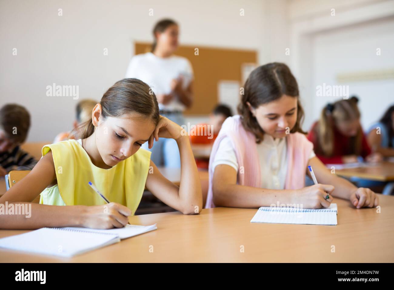 Portrait of school girl who writing exercises at lesson in school Stock ...