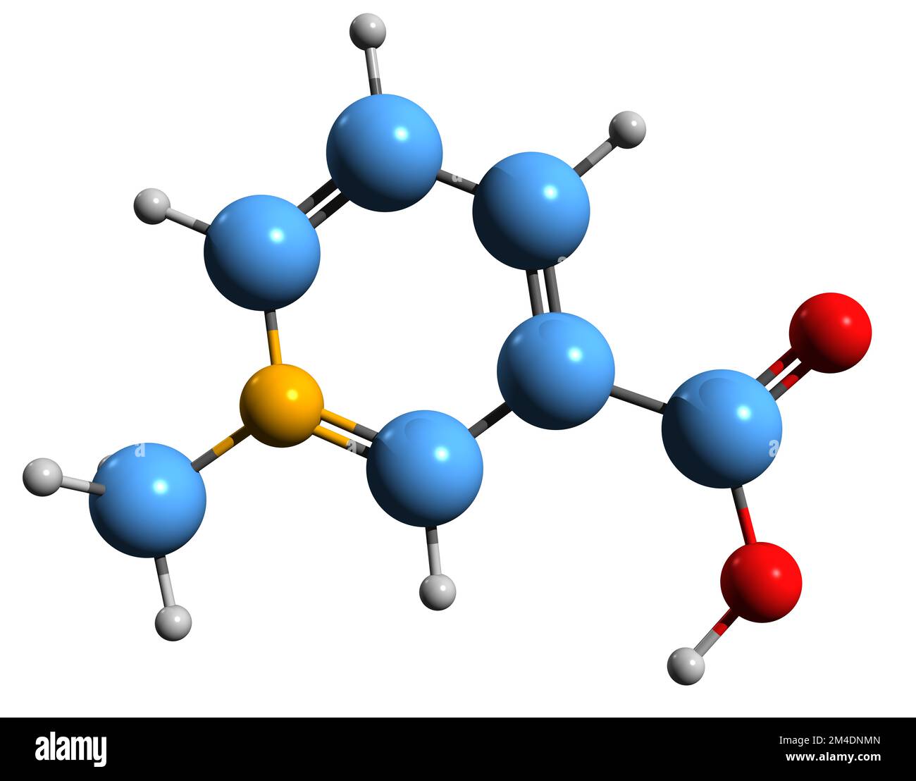 3D image of Trigonelline skeletal formula - molecular chemical structure of icotinic acid N-methylbetaine isolated on white background Stock Photo