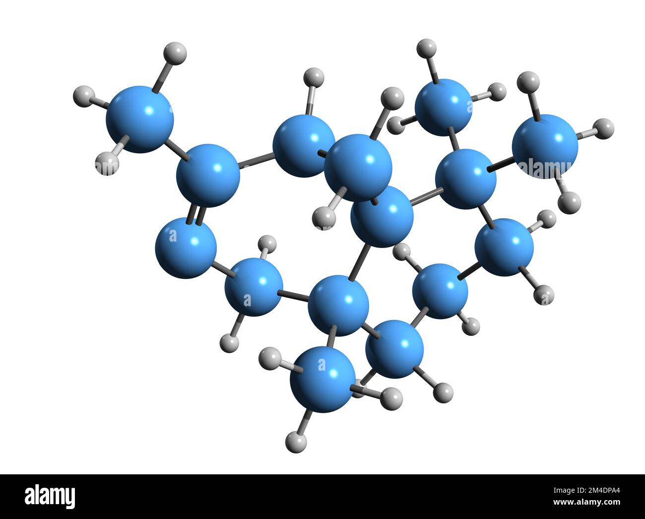 3D image of Thujopsene skeletal formula - molecular chemical structure of Sesquichamene isolated on white background Stock Photo
