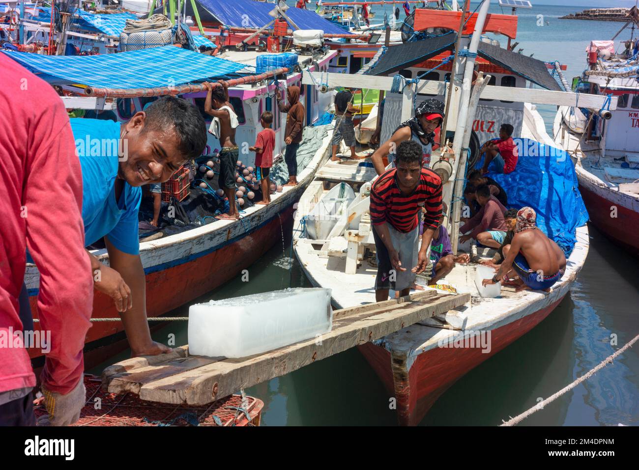 Ice being loaded onto a fishing boat in Kupang fishing harbour. Stock Photo