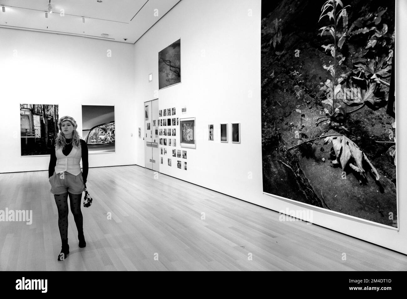 Nyc, Ny, USA. 14th Dec, 2022. Museum of Modern Art, Wolfgang Tillmans. (Credit Image © John