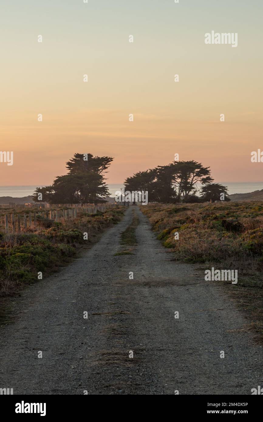 Old Point Reyes Dirt road leading to trees and old structure at Point Reyes National ...