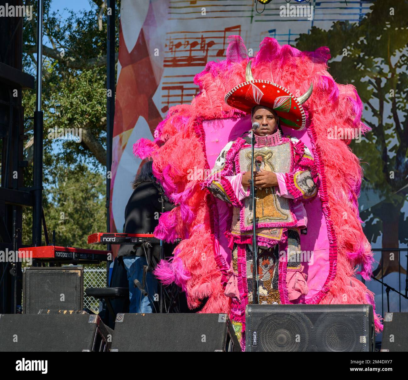 all on a mardi gras day lyrics wild magnolias