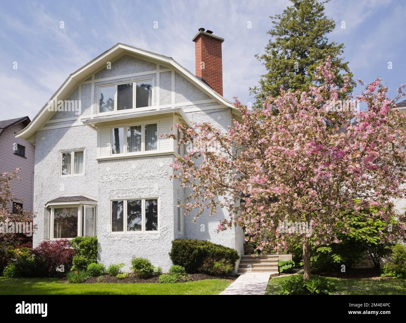 Pink and white flowering Pyrus malus - Crabapple tree on front lawn of white stucco cottage style home in spring. Stock Photo
