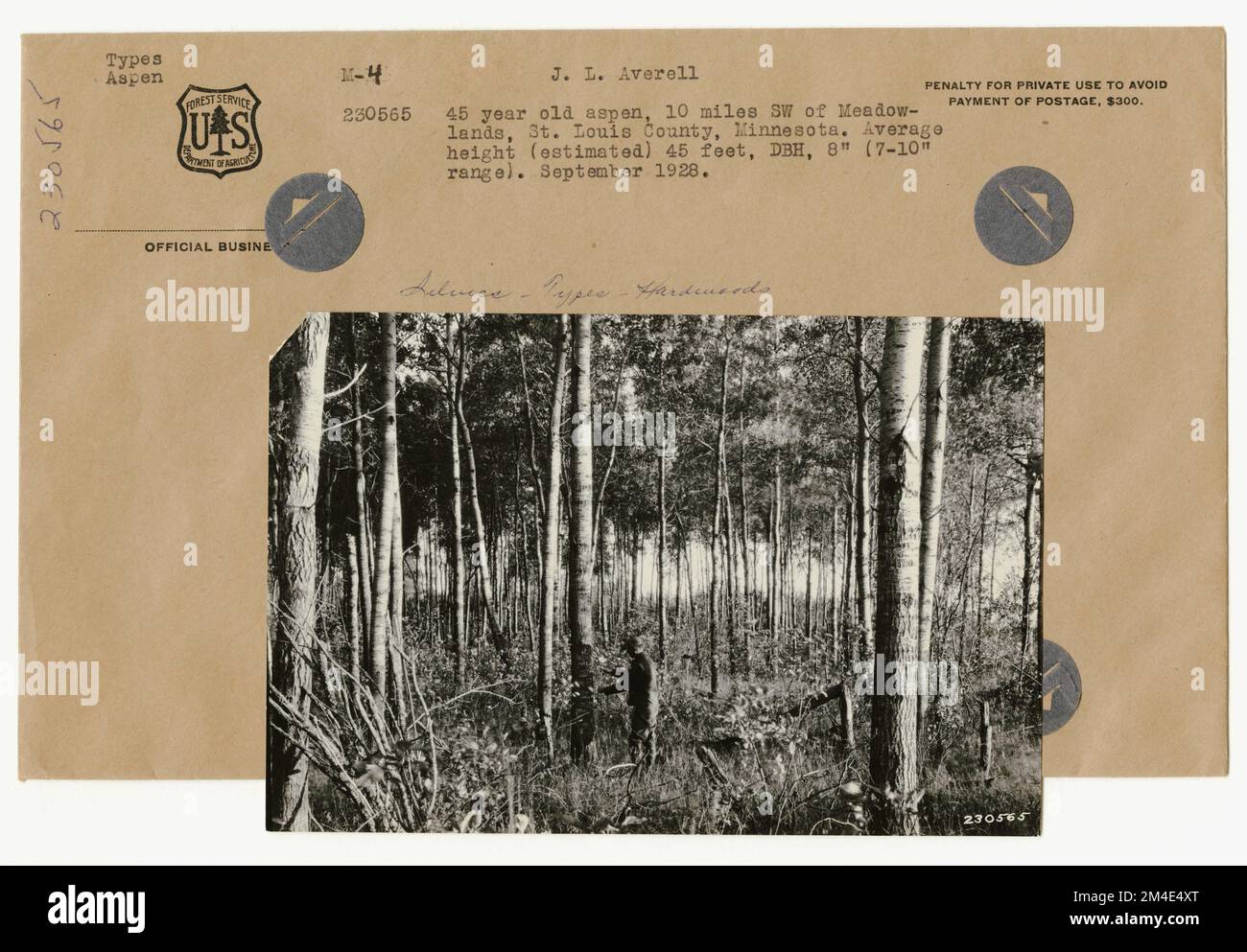 Timber Stand Improvement General. Photographs Relating to National