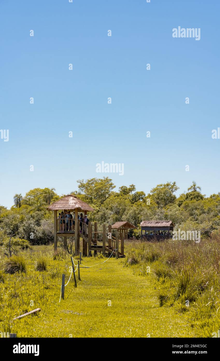 COLONIA CARLOS PELLEGRINI, CORRIENTES, ARGENTINA - NOVEMBER 20, 2021: Vertical landscape with a path way and a wooden touristic viewpoint looking to I Stock Photo