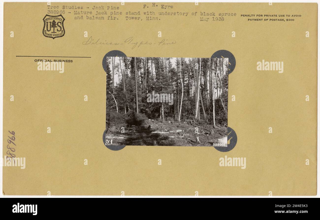 Timber Stand Improvement General. Photographs Relating to National Forests, Resource