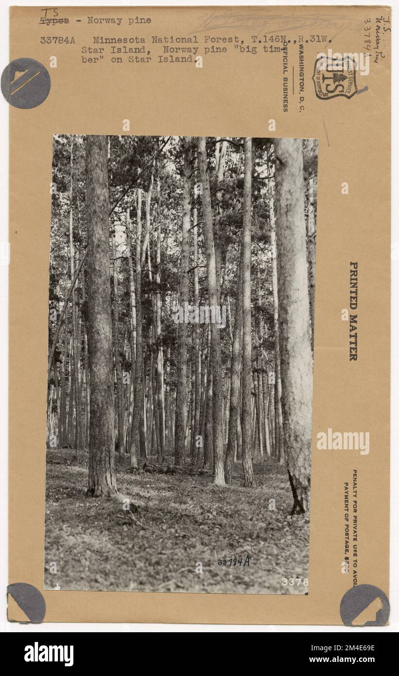 Timber Stand Improvement General. Photographs Relating to National Forests, Resource