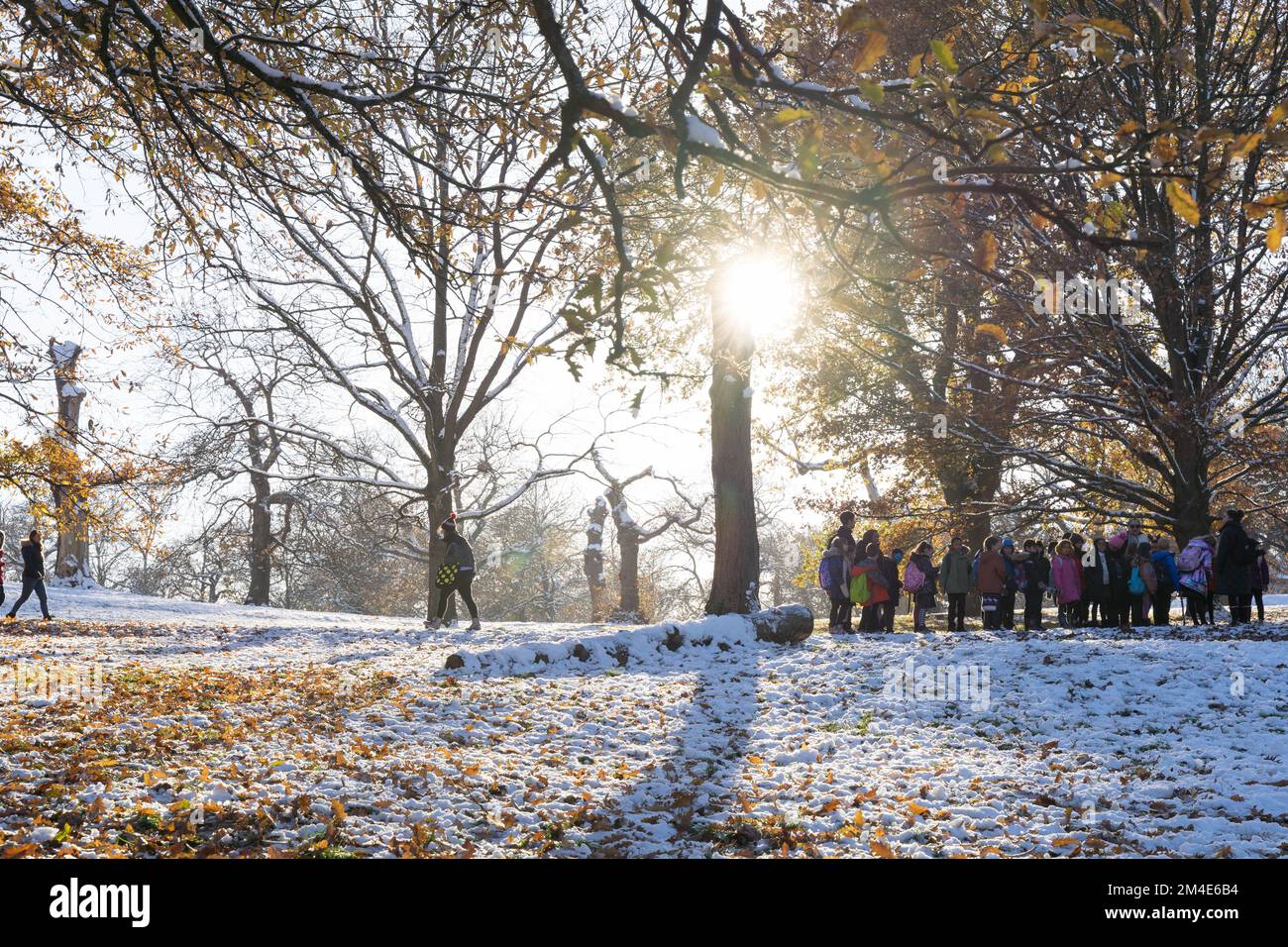 some  winter sunshine in deep freeze under arctic blast, snow covers tree branches and ground in Greenwich Southeast London England Stock Photo