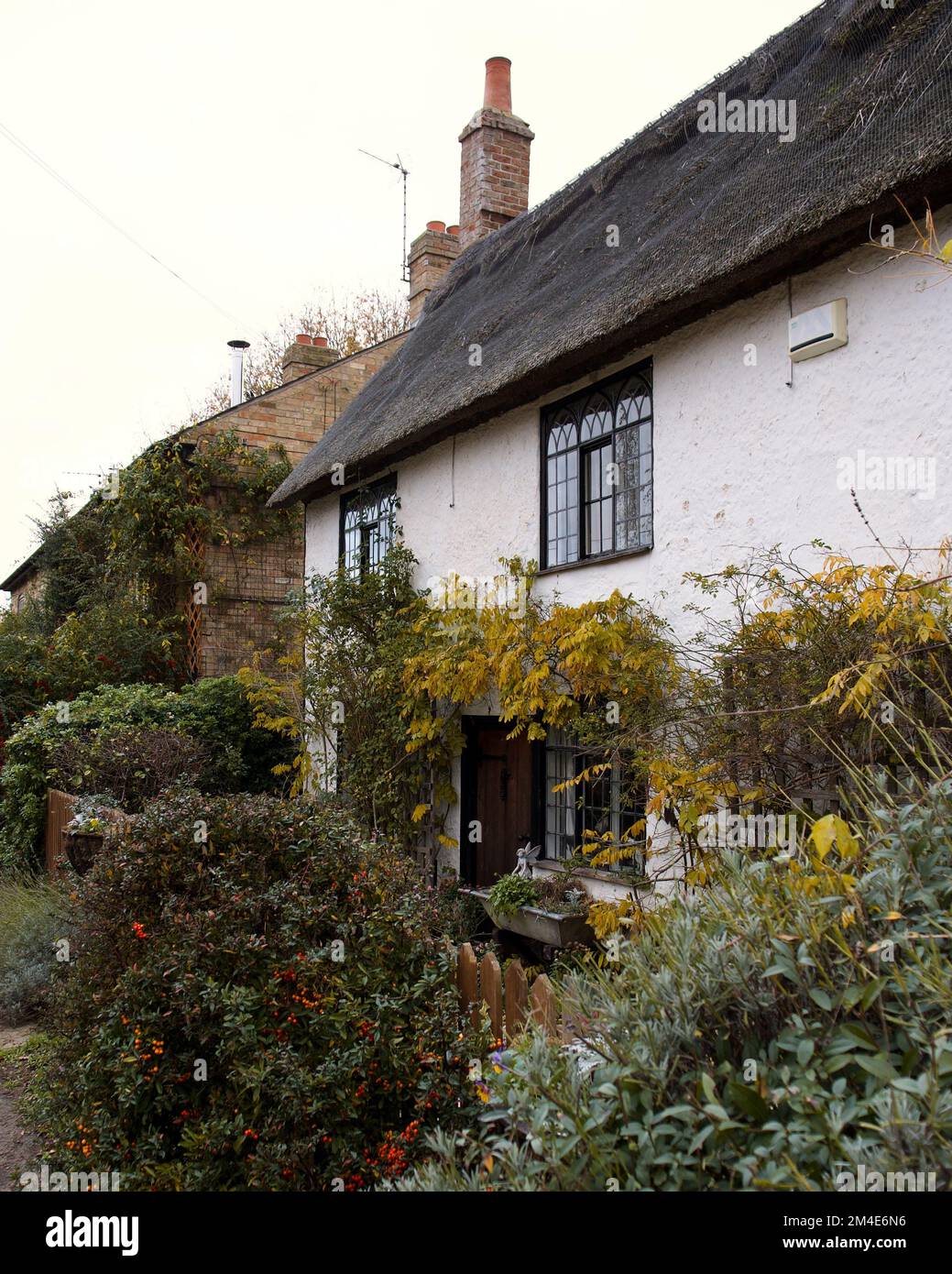 A vertical shot of beautiful thatched cottage in Hemingford Grey