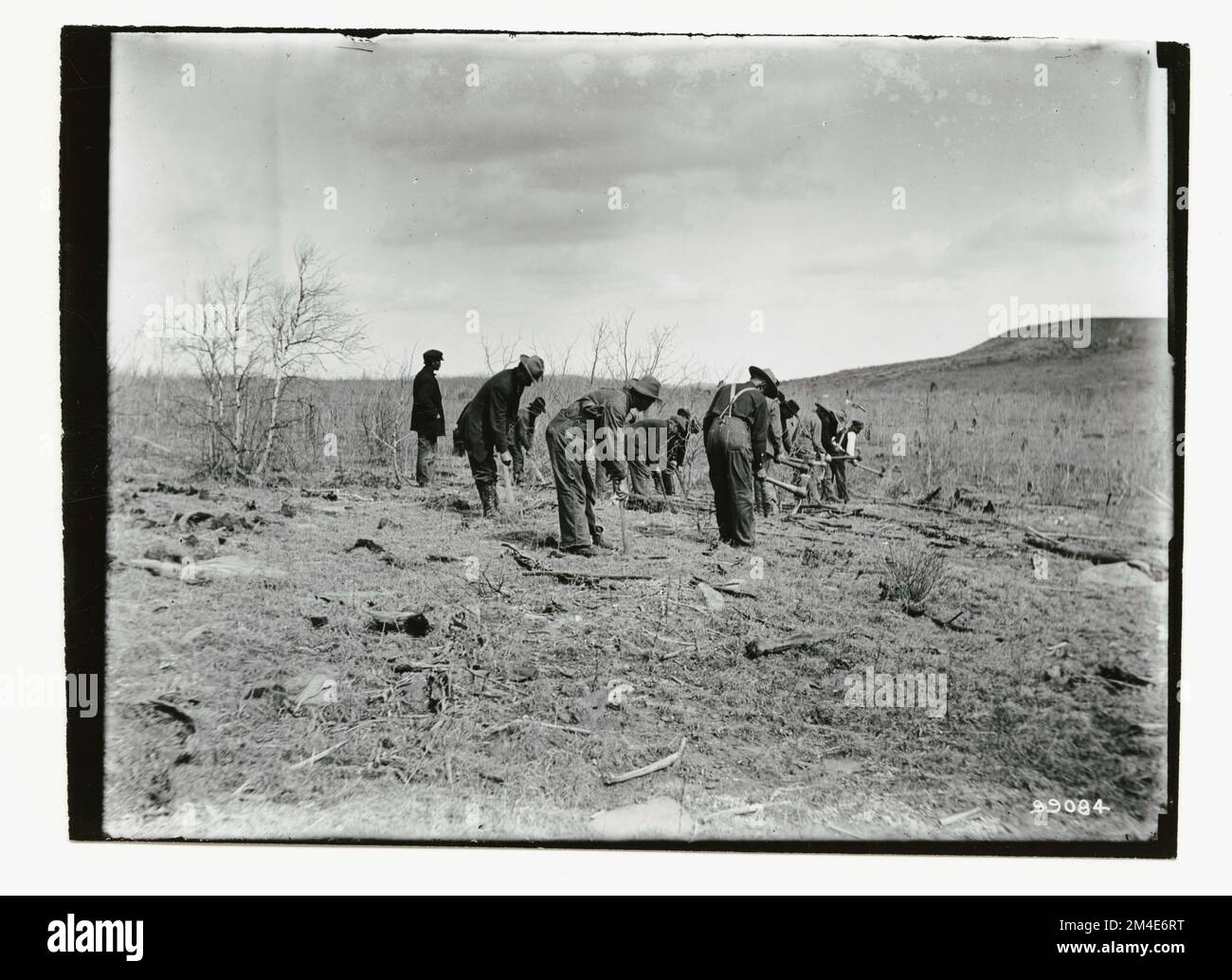 Shelterbelts: Windbreaks: General. Photographs Relating to National ...