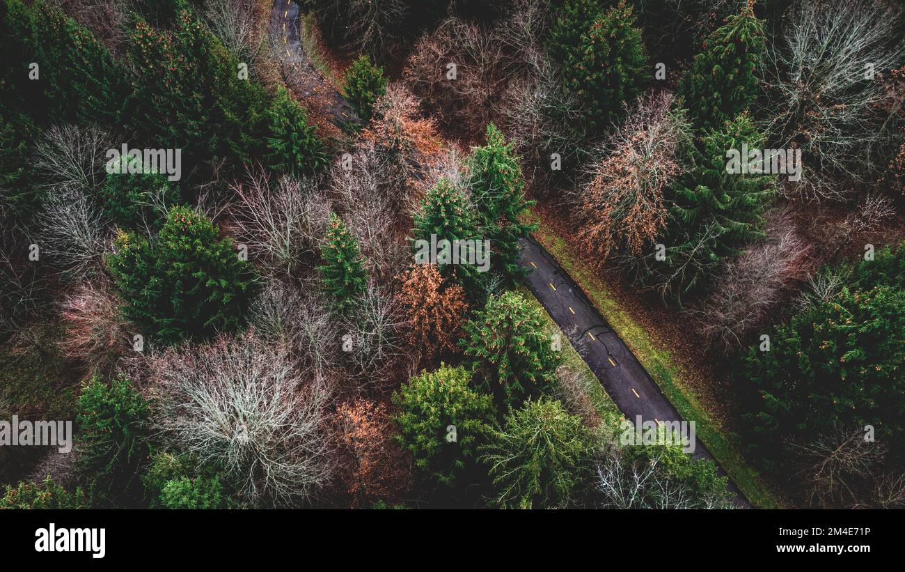 An aerial view of a highway in a forest Stock Photo - Alamy