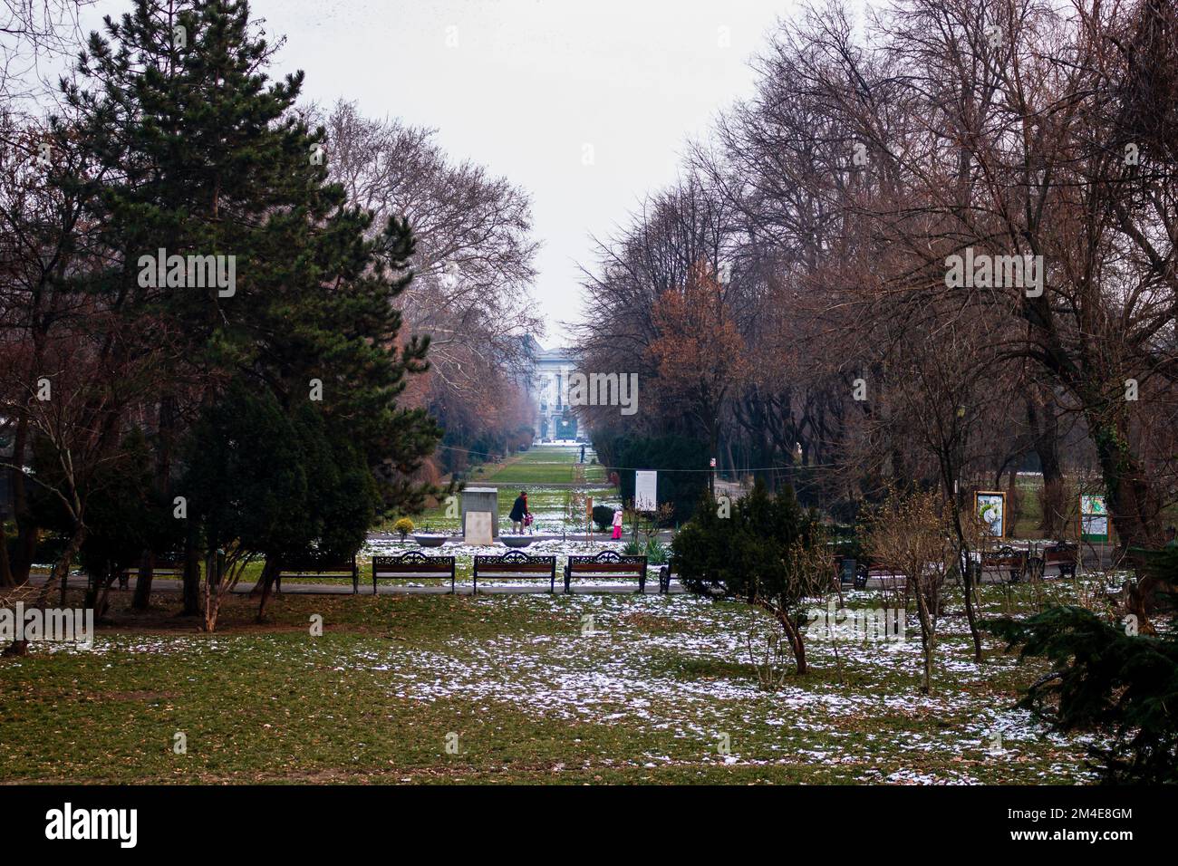 Winter scene in Cismigiu park Bucharest. Cismigiu Gardens located in ...