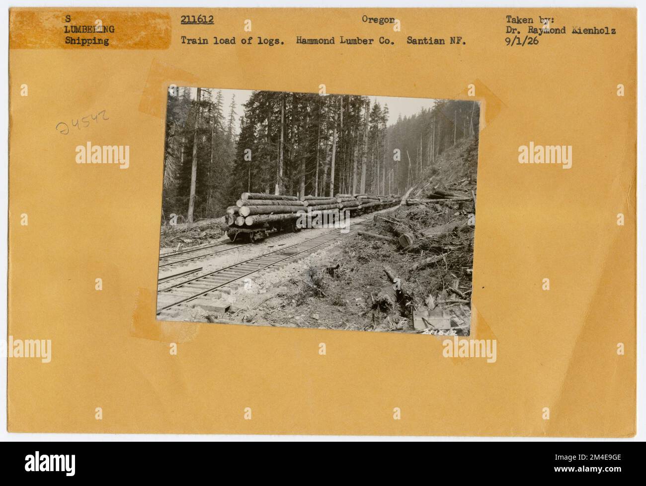 Log Transportation: Logging Railroad. Photographs Relating to National Forests, Resource Management Practices, Personnel, and Cultural and Economic History Stock Photo