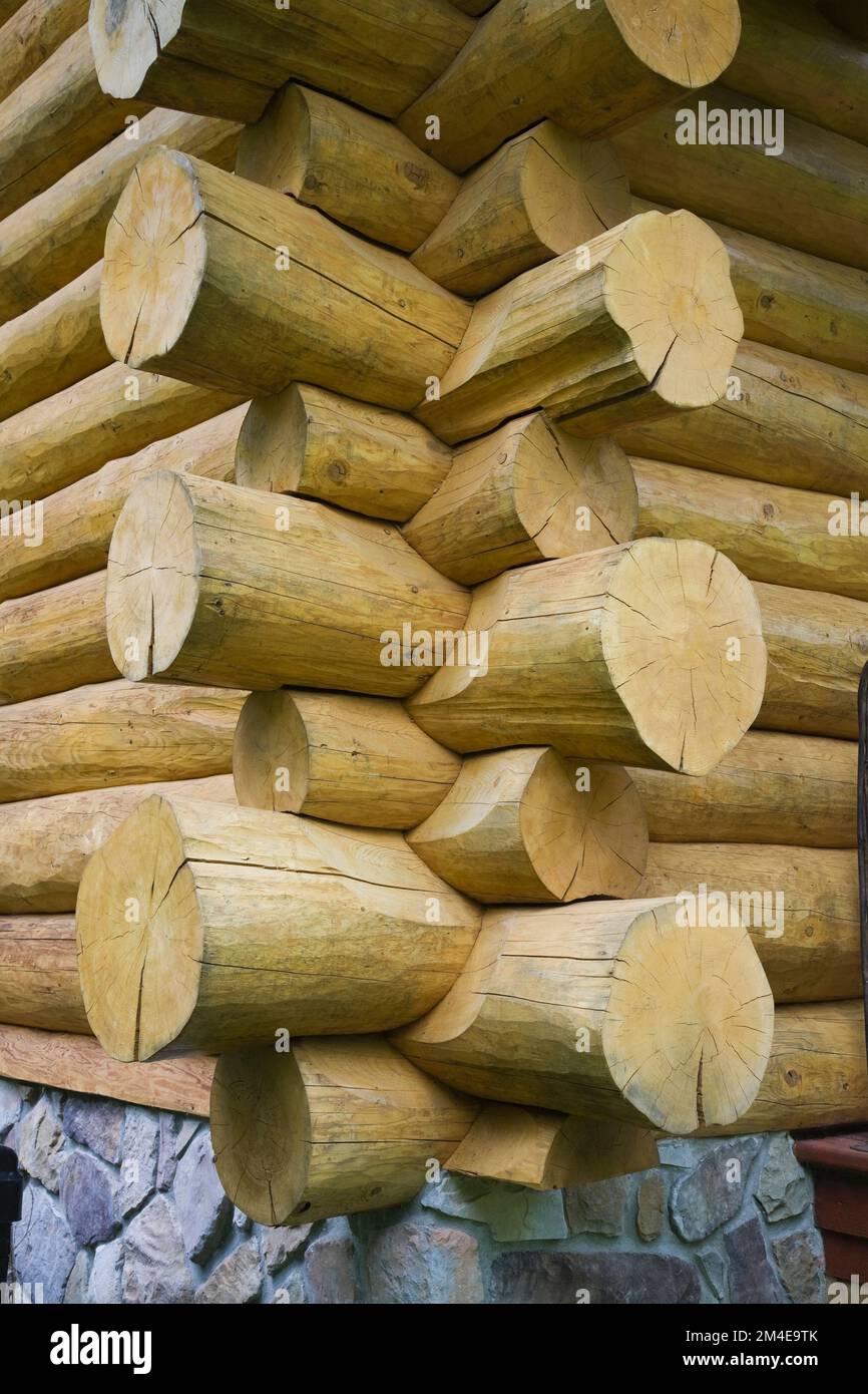Stacked logs forming the exterior walls of 2003 built cottage style log home, Quebec, Canada. This image is property released. CUPR0244 Stock Photo