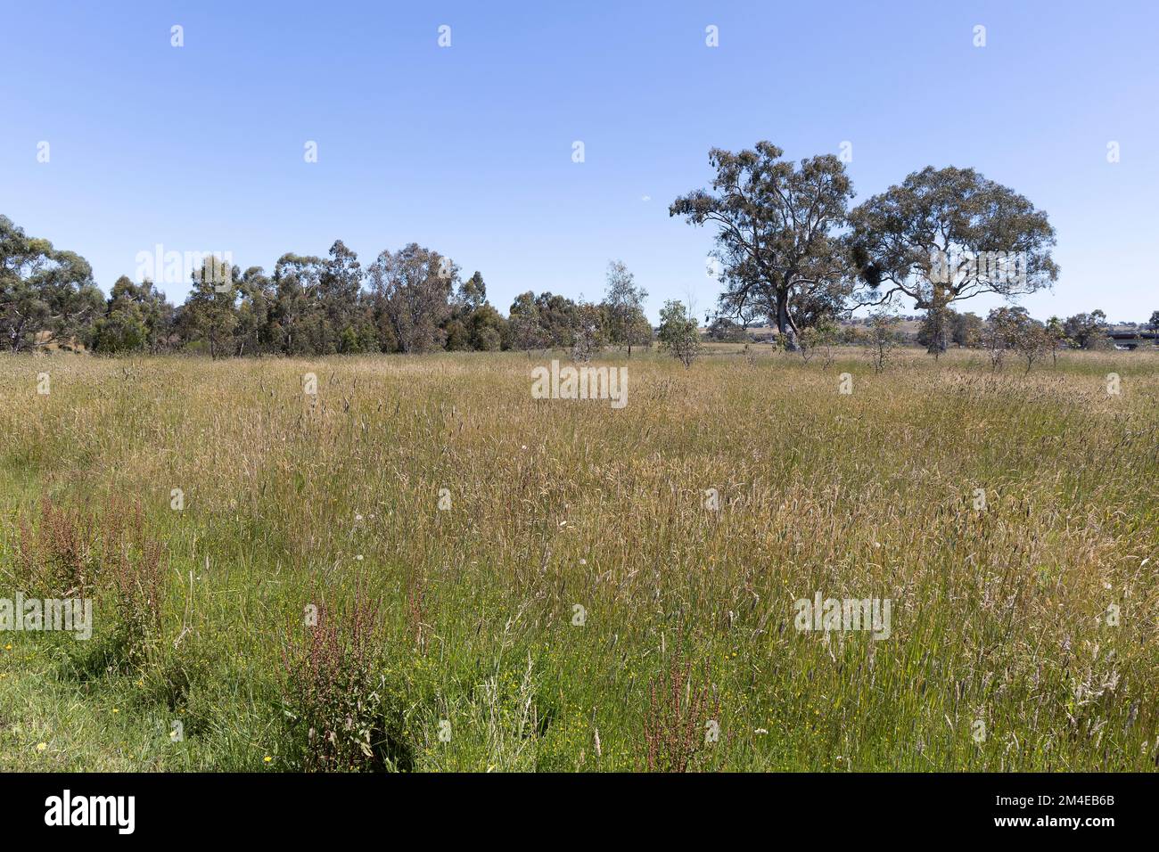 Plenty Park offers a wide range of natural and cultural