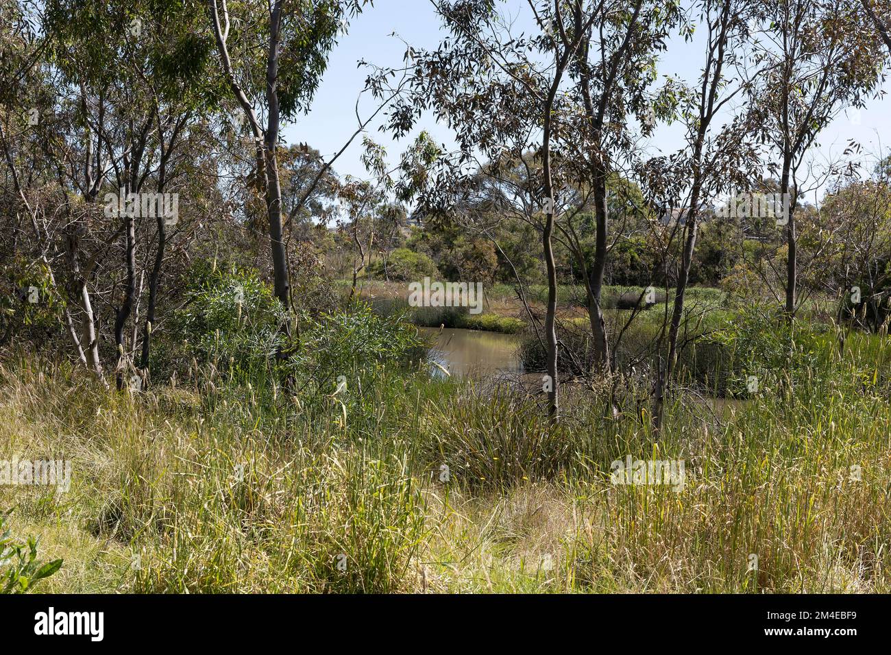 Plenty Park offers a wide range of natural and cultural