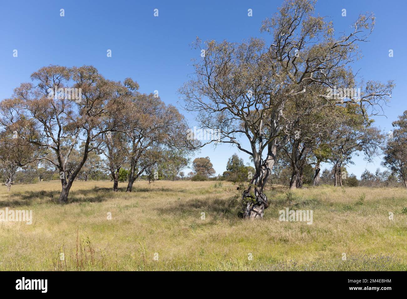 Plenty Park offers a wide range of natural and cultural