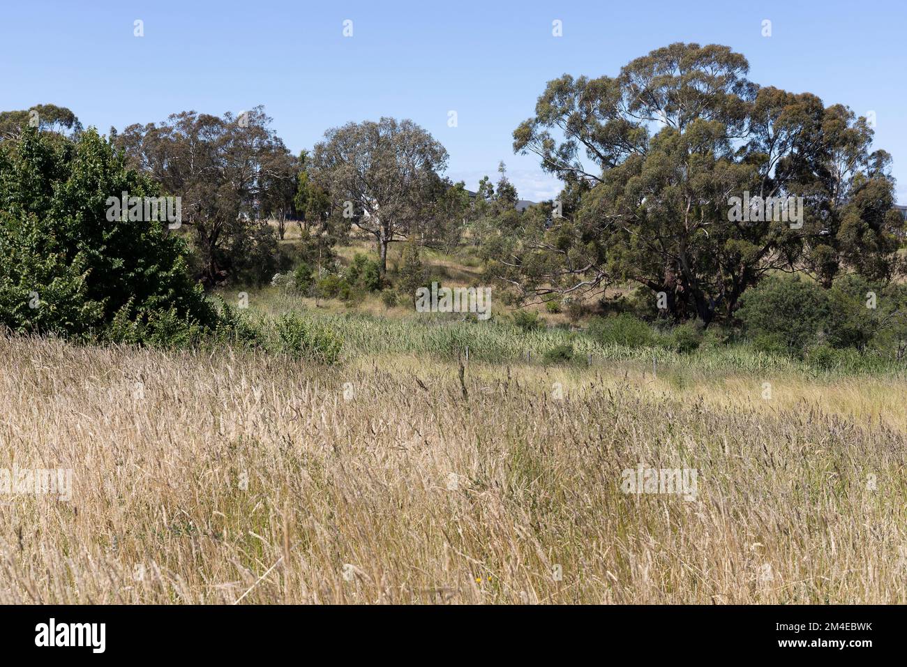 Plenty Park offers a wide range of natural and cultural