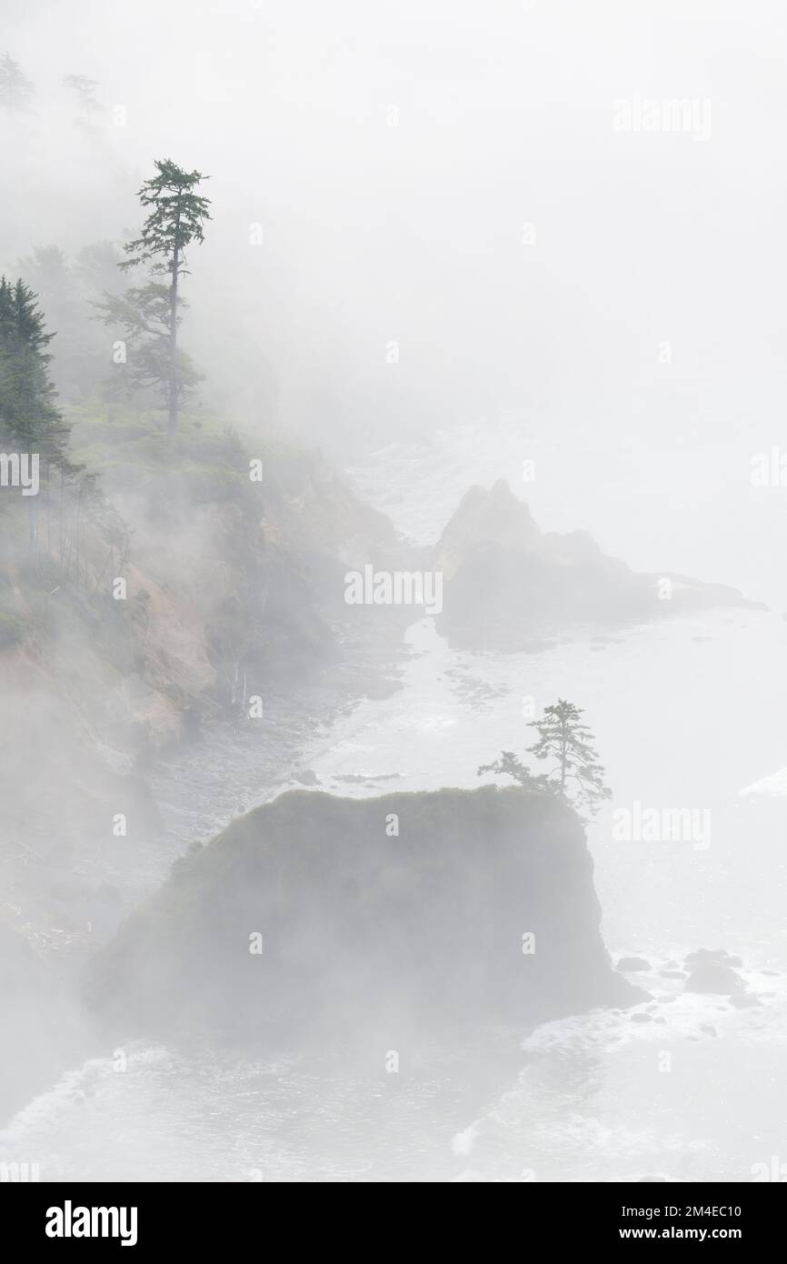Fog obscures the Oregon Coast with rocks and fir trees on the edge of the Pacific Ocean Stock Photo