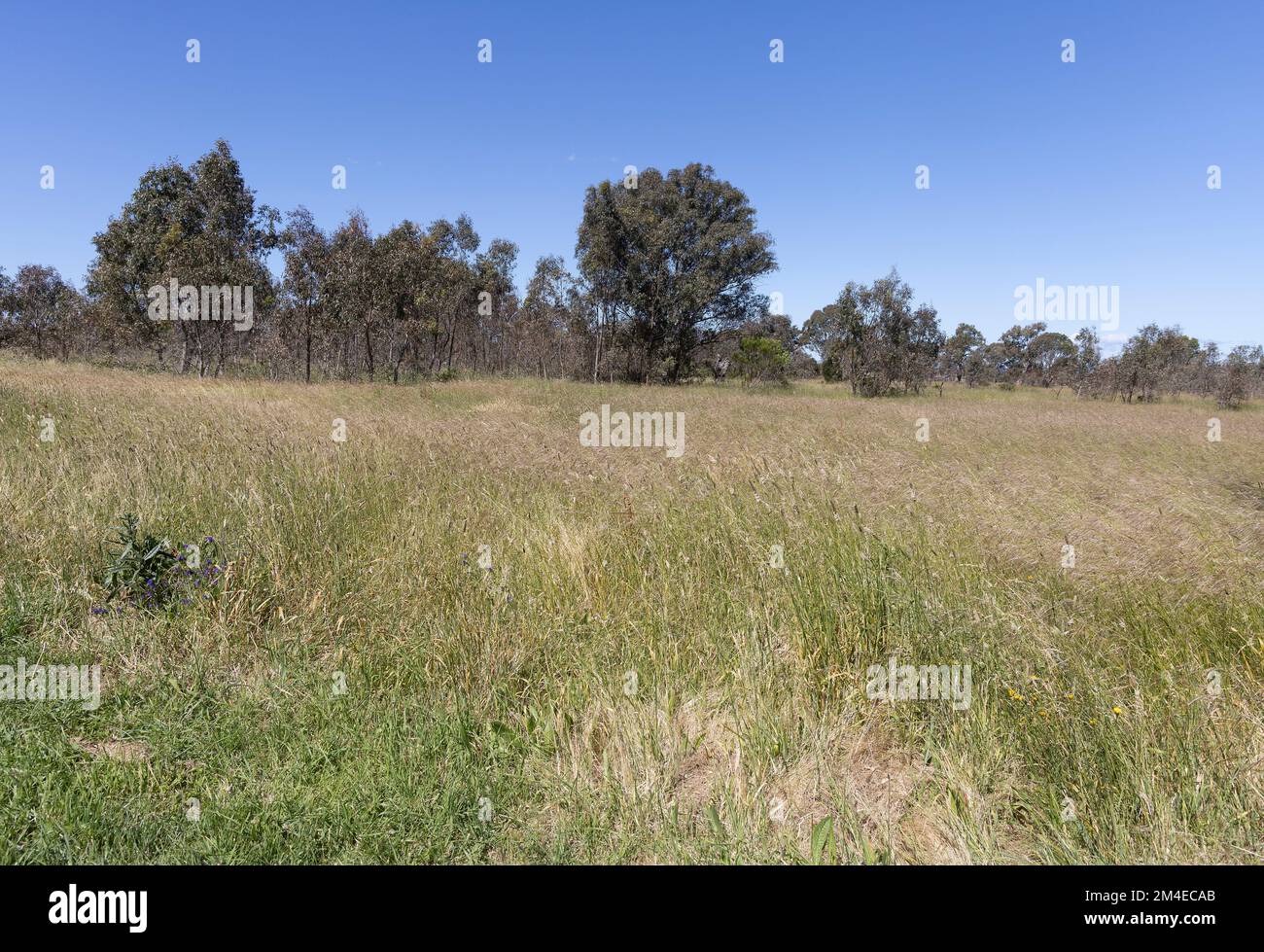 Plenty Park offers a wide range of natural and cultural