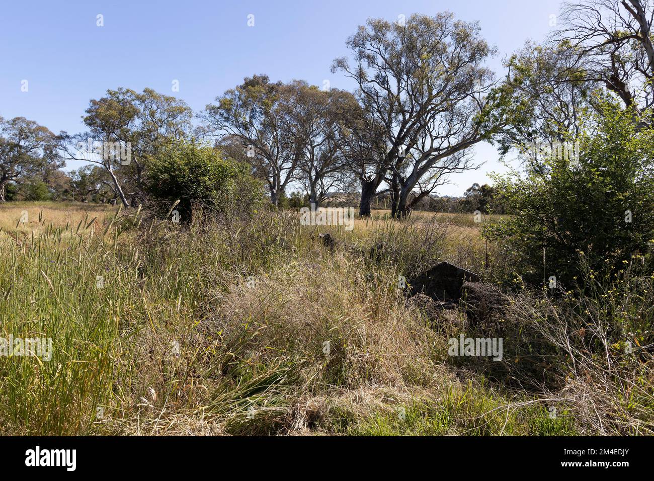 Plenty Park offers a wide range of natural and cultural