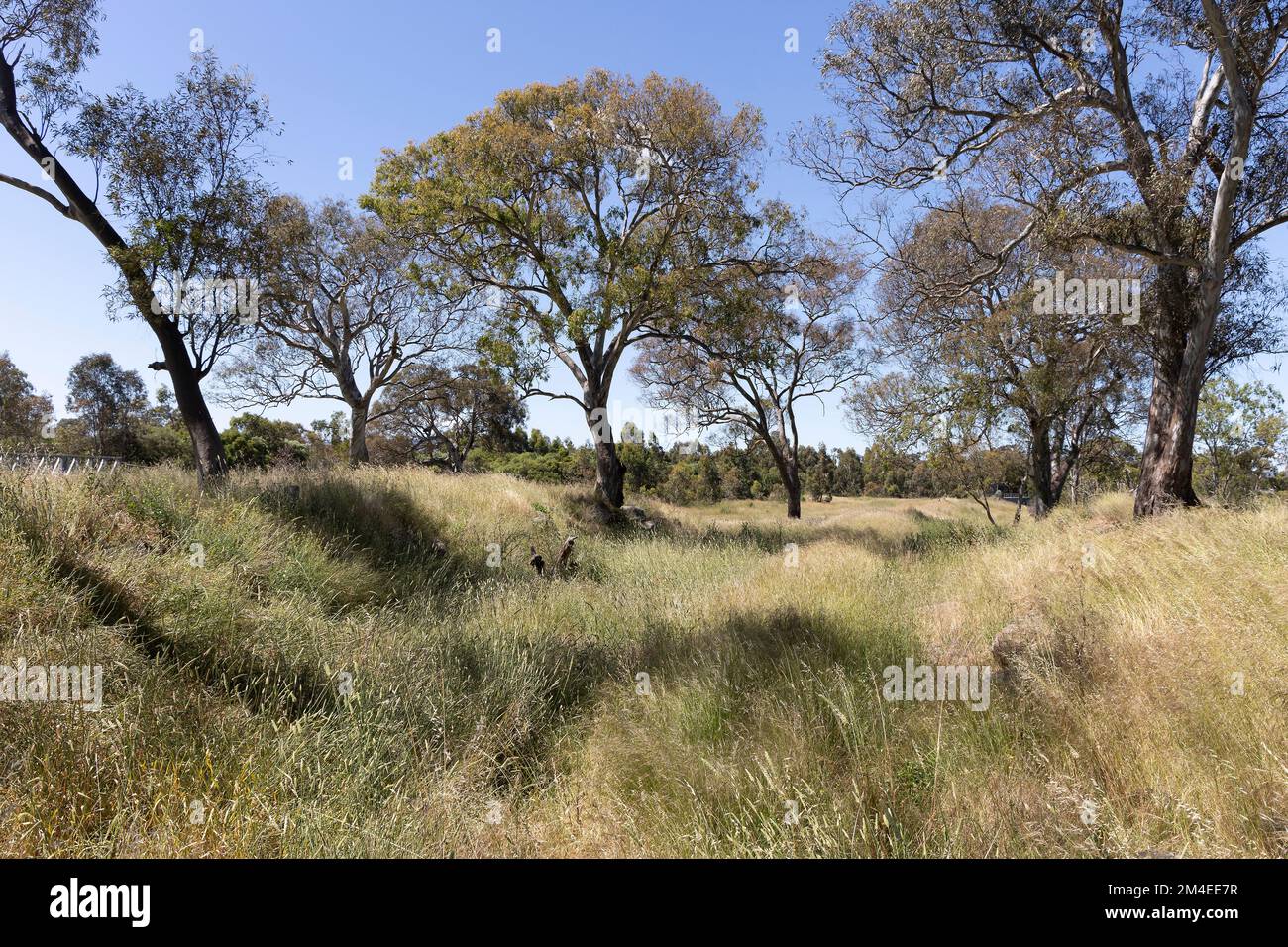 Plenty Park offers a wide range of natural and cultural