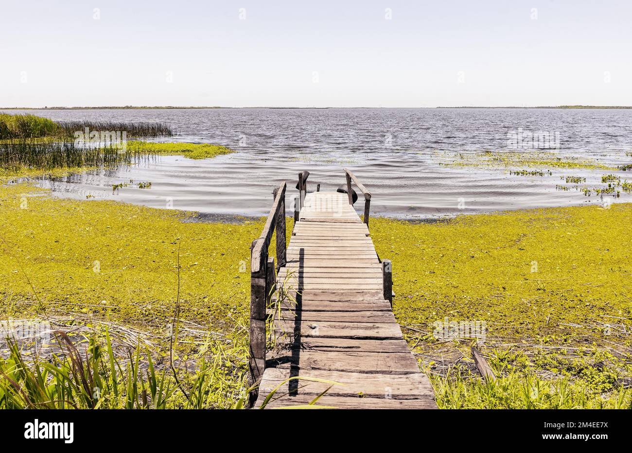 Landscape of an old wooden pier in Ibera Lagoon, Colonia Carlos Pellegrini, Ibera Wetlands, Corrientes, Argentina. Stock Photo