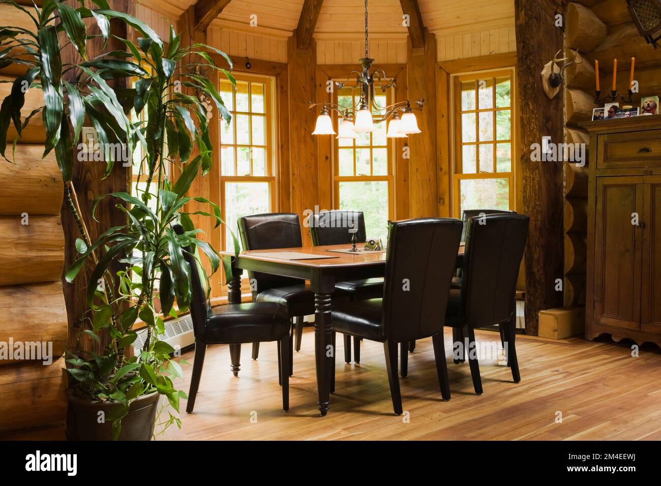 Black wooden dining table and leather high back chairs in dining room