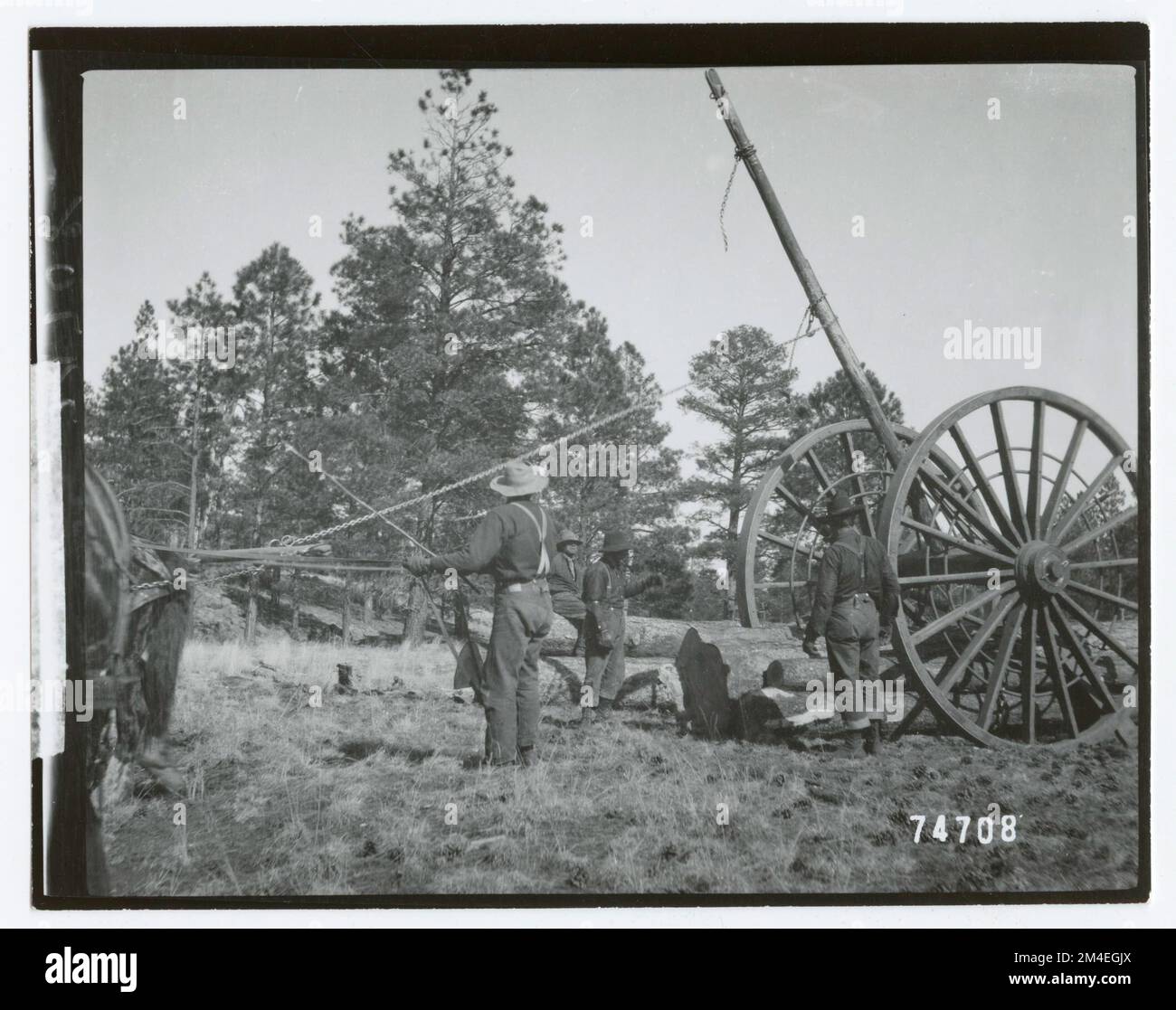 Historical: Logging. Photographs Relating to National Forests, Resource ...