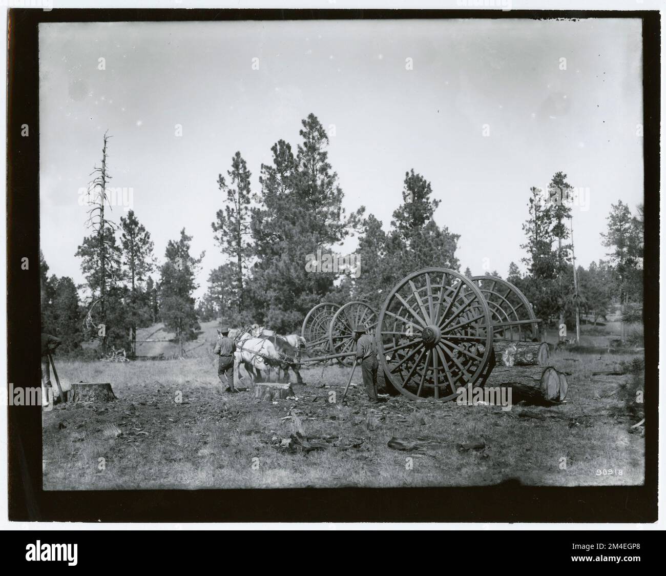 Historical logging photographs hi-res stock photography and images - Alamy