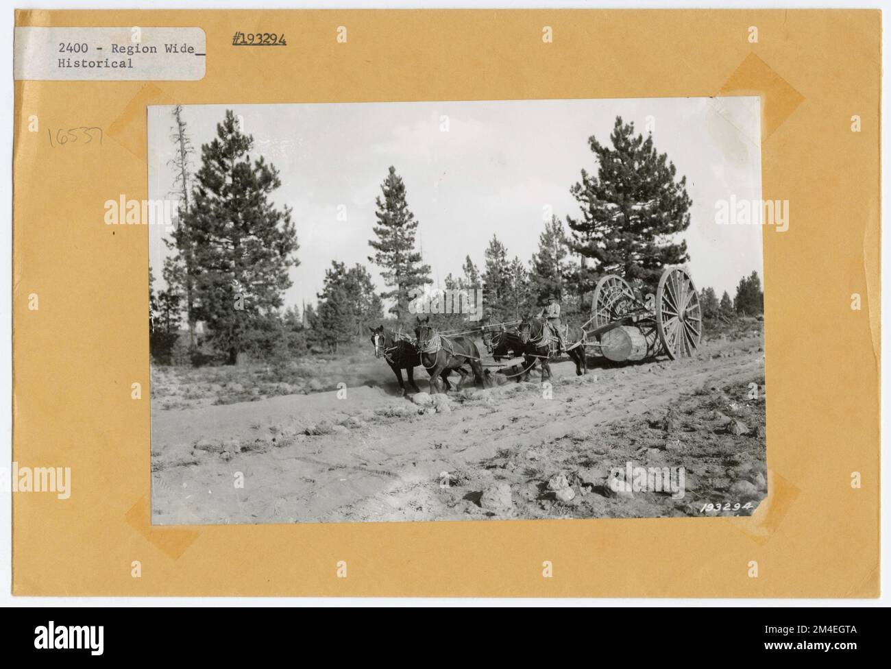 Historical logging photographs hi-res stock photography and images - Alamy