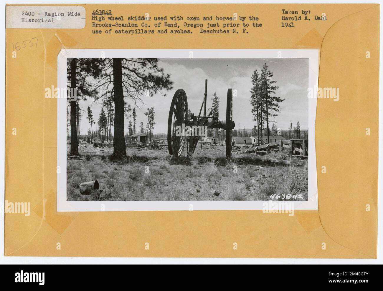 Historical: Logging. Photographs Relating to National Forests, Resource ...