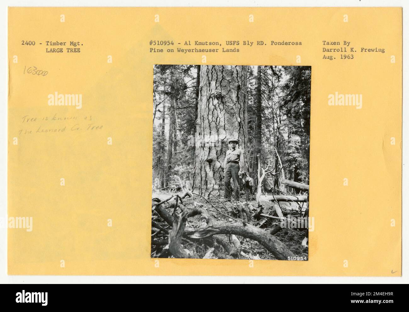 Forest Past Portraits by Person's Name. Photographs Relating to National Forests ...