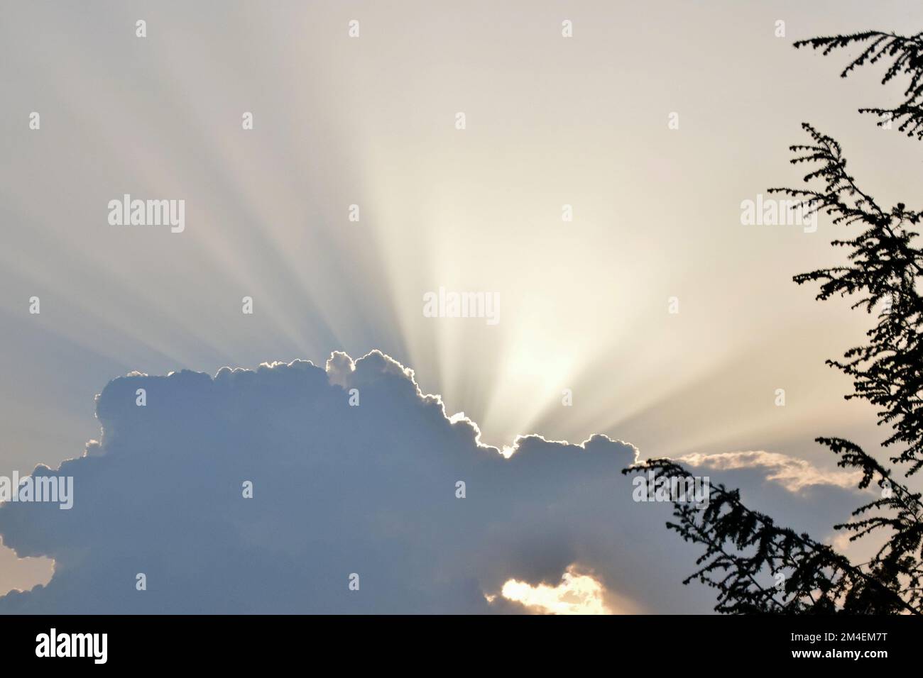 Peaking out sun hi-res stock photography and images - Alamy