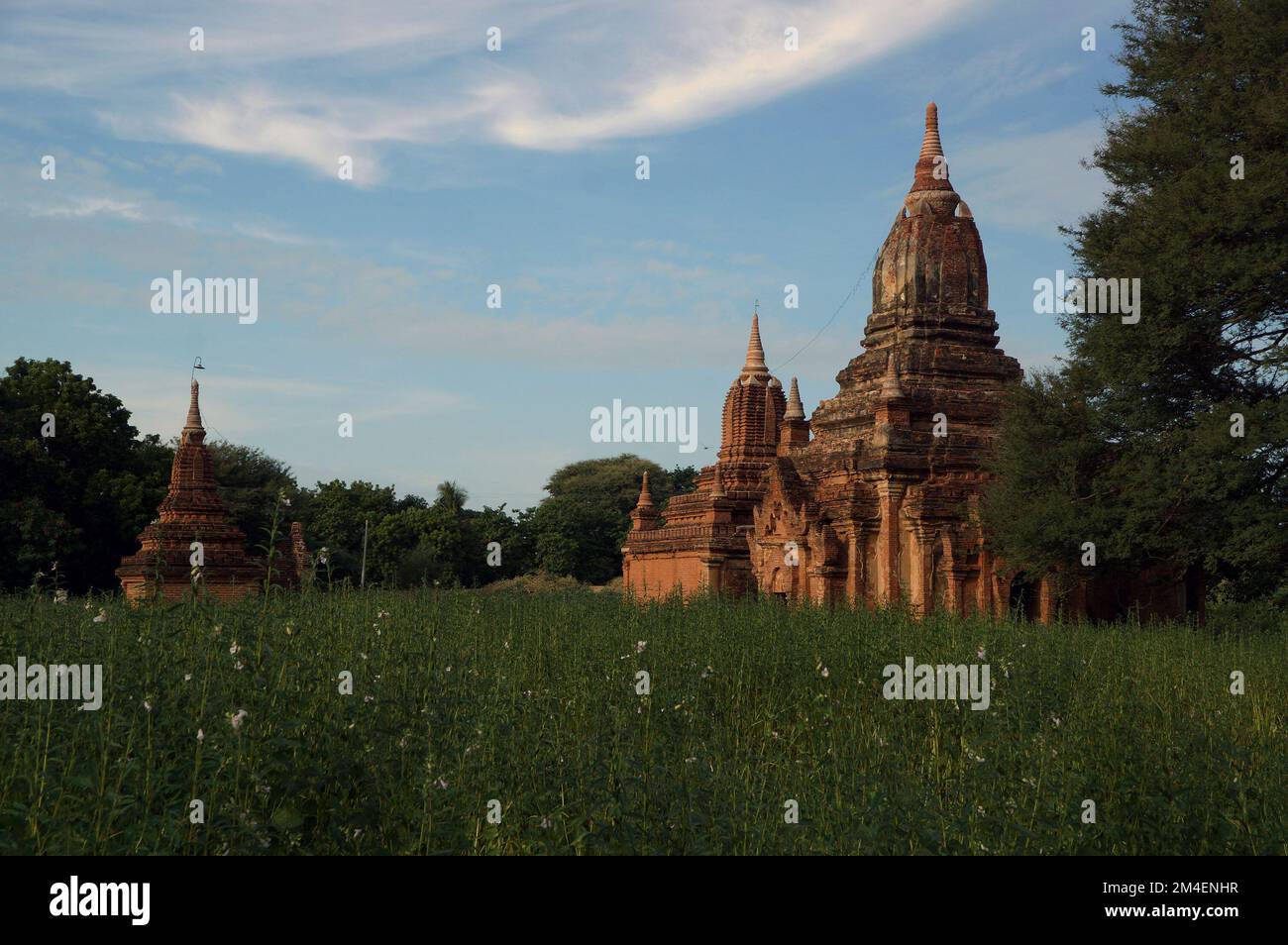 Three of the hundreds of temples in the walled ancient city of Bagan in Myanmar. Stock Photo