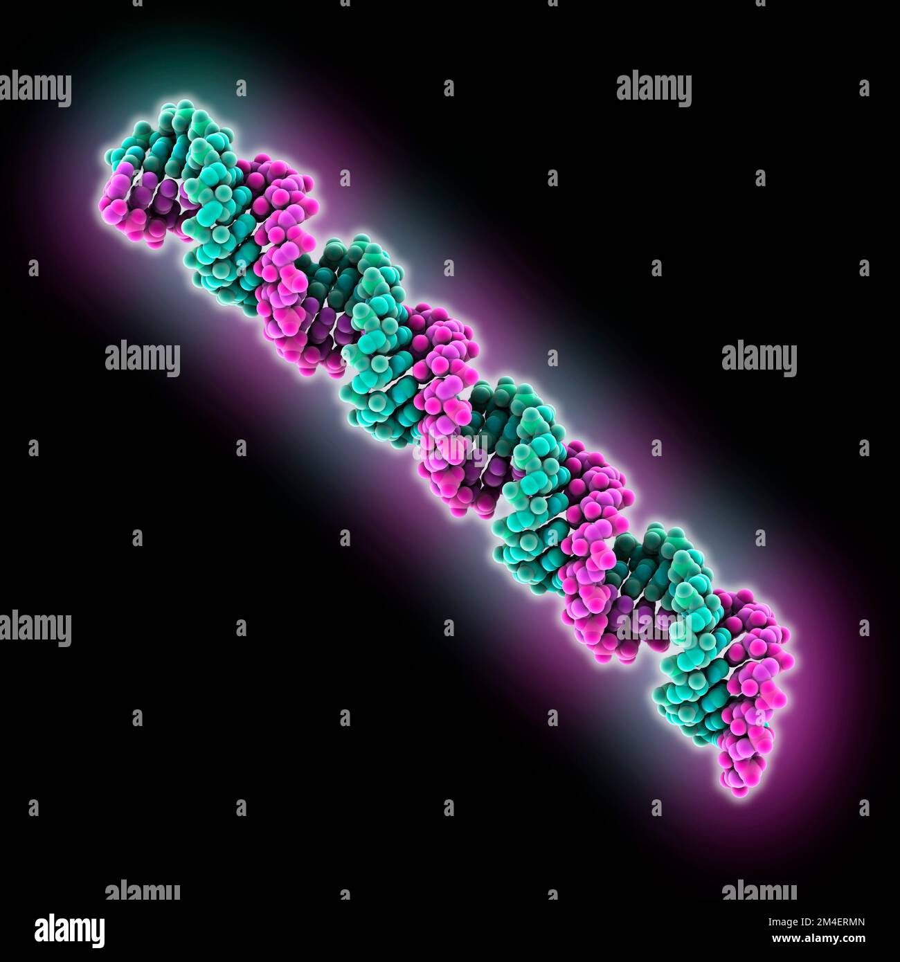 Synthetic RNA, molecular model Stock Photo Alamy